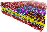 New Design Rule Enables the Synthesis of Peptoid Nanosheets