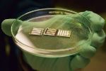Metal Oxide Layers Improve Stability of Perovskite Solar Cells