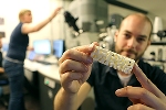 Heart Urchin Study Provides New Insights to Develop Strong, Lightweight Materials
