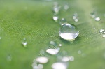 Researchers Develop New Class of Super-Hydrophobic Materials