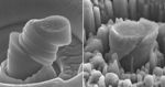 Magnesium with Ceramic Silicon Carbide Nanoparticles Deliver Super-Strong, Lightweight Metal