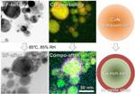 New Way to Produce Oxidation-Resistant Copper Alloy Nanoparticles for Printed Electronics