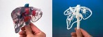New 3D Printer-Based Technique Enables Low-Cost Production of Human Organ Models