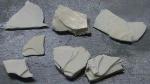 Study Reveals Mechanisms Behind Remarkable Strength of Seashells