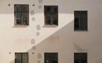 Study Reveals Geckos as the ‘Size Limit’ for Sticking to Walls