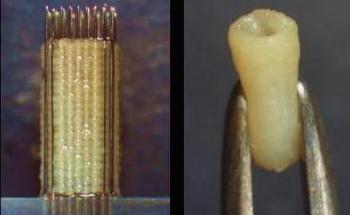 Cyfuse Biomedical’s 3D Bioprinter and Cell Applications’ Primary Cells Help Make Scaffold-Free 3D Tissues