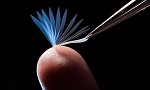 New Shape-Memory Polymer Reacts to Body Heat, Holds Promise for Medical Applications