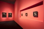 Unique Art Exhibition Uses Guardian Clarity Anti-Reflective Glass