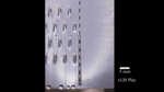 Researchers Draw Inspiration from Nature to Promote and Transport Condensed Water Droplets