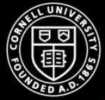 New Insights into Cancellous Bone Could Help Design Novel Materials