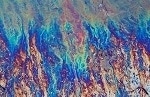 Polyurethane Foams Directly Sponge Oil from Water