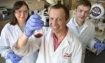 FSU Researchers Discover New Way to Safely Activate Red Phosphorus