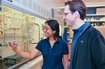 Stanford Researchers Create Renewable Plastic Using Plants and Carbon Dioxide
