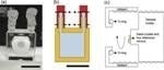 Researchers Use Laser Interferometry to Measure Growth Rate of Protein Crystals Onboard the ISS