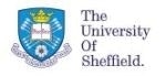Breakthrough Implantable Material Could Reduce Complications Related to Urinary Incontinence