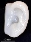 3D Printed Human Skin Could Help Repair Damaged Cartilage Tissue