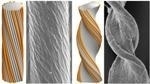Researchers Identify Factors that Govern Final Morphology of Self-Assembling Chiral Filament Bundles