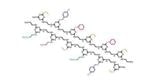 Synthetic Polymers Mimic Essential Qualities of Natural Proteins