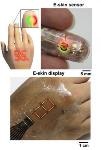 Researchers Develop Ultrathin Organic Material that Enables Improved E-Skin Displays