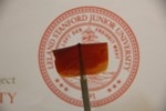 Newly Developed Super Stretchy, Self-Healing Material Paves Way for Artificial Muscles