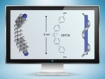 Researchers Provide First Definitive Evidence for Twist-Bend Phase of Liquid Crystals
