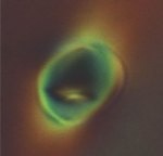 Researchers Recreate Bacterial Properties to Shape Synthetic Materials