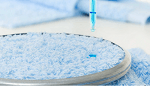 WACKER Presents New Hydrophilic Softener for Textile Finishing