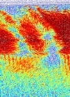 New Electron Microscope Detector Allows Fast, Accurate Measurements of Material Properties