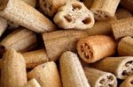 Carbon Material from Loofah Sponges Could Improve Lithium Batteries