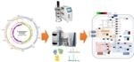 Korean Research Team Highlights Importance of Clostridium Tyrobutyricum in Industrial Applications