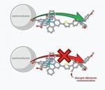 Researchers Discover Unique Method to Improve Electron Transfer in Solar Fuel Applications