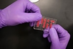 MIT Researchers Develop New Hydrogel Material that has Potent Applications