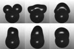 Researchers Explore Self-Cleaning, Hydrophobic Surfaces Capable of Shedding Dirt