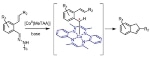New Catalyst for Indene Synthesis Developed by Scientists