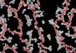 Study Provides New Insights into the Formation of Gels