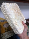 Researchers Develop Biomaterials from Farm Waste