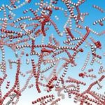 Researchers Reconfigure Active Particles to Self Organize into Dynamic Patterns