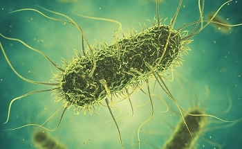 Researchers Investigate Special New Coatings to Ensure Food Safety