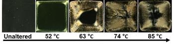 Brown University Researchers Induce New Polymer Phase in Polylactic Acid