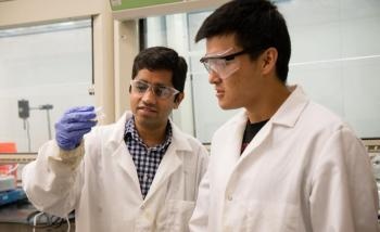 Scientists Developing New Biorenewable Composite Materials for Auto Parts from Trees
