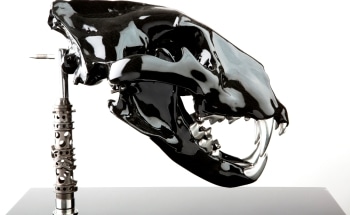 Axalta Working with Automotive Manufacturers to Develop Effective Coating Systems Using Carbon Fiber