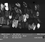 Curtin scientists make Earth-shattering discovery