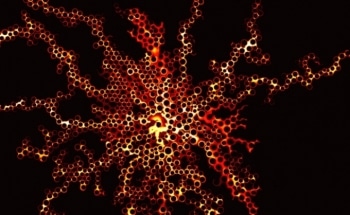 MIT Research Unravels New Physics Behind Flow Mechanism in Porous Material