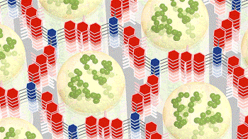 New Nanomaterial for Storing Energy Combines Attributes of both Batteries and Supercapacitors