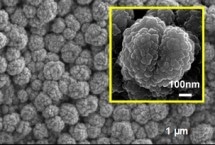 Study Results Could Lead to Development of Higher-Capacity Anode Materials for Li-Ion Rechargeable Batteries