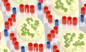 Cornell Researchers Invent New Method for Developing Powerful Electrical Energy Storage Device