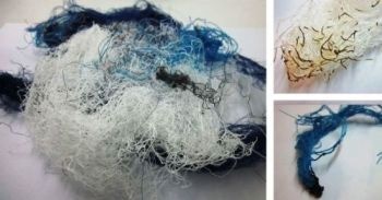 UPM Researchers Develop New Panel for Enhancing Sustainability of Materials