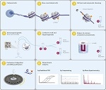 ChIP-seq Assay Kit for Histone Methylation