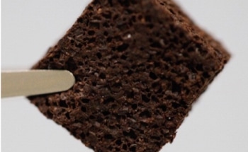 Spent Coffee Powder in Bioelastomeric Foams Can Remove Harmful Lead and Mercury from Water