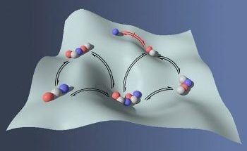 Development of Dynamically-Evolving Polymers Studied at CUNY